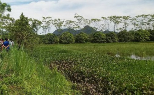 Một phụ nữ chết bất thường dưới ao sau nhà