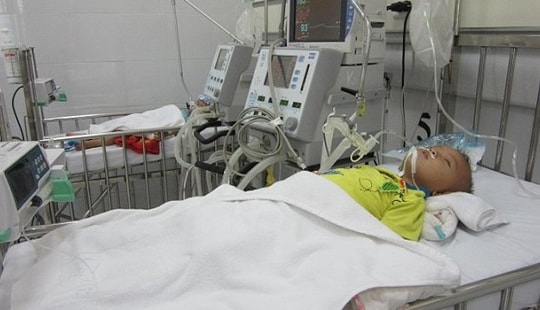 "Nóng" bệnh viêm não Nhật Bản, hàng loạt trẻ nhập viện