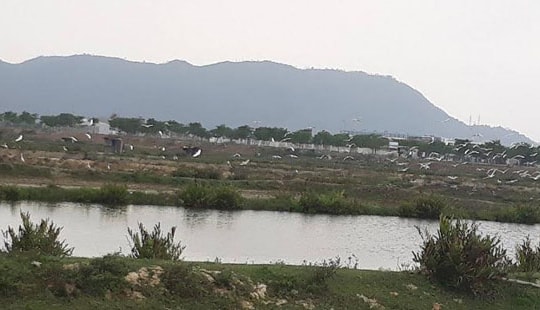 Cận cảnh “siêu dự án” Golden Hills nợ 244 tỷ đồng tiền sử dụng đất