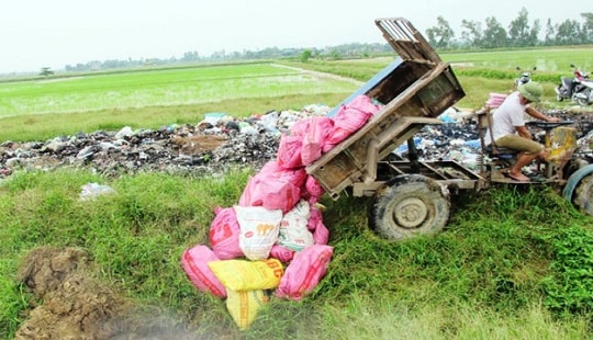 Tiêu hủy hơn 1.000 gia cầm mắc cúm A/H5N1