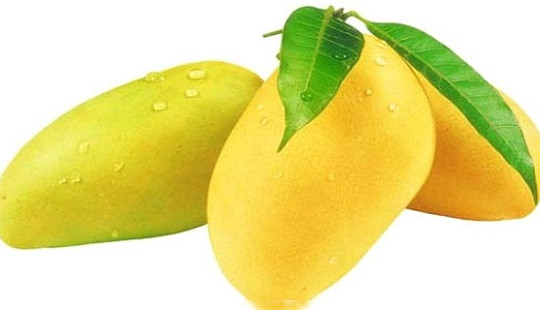Những công dụng của quả xoài không phải ai cũng biết