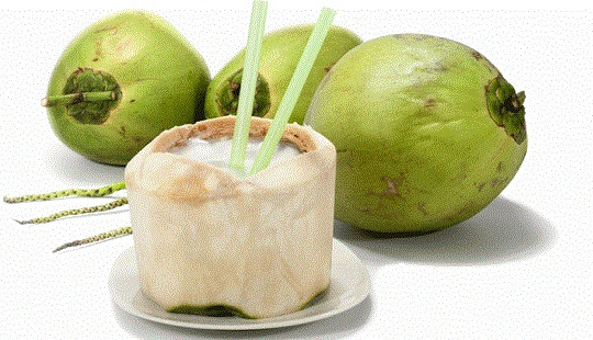 Uống nước dừa sai cách rước hại vào thân