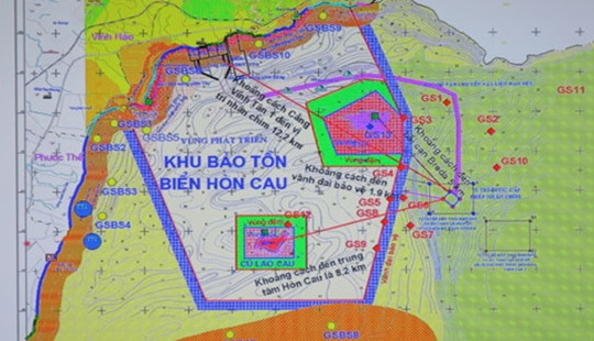 Xả thải xuống biển Bình Thuận: Yêu cầu giám sát đặc biệt Điện lực Vĩnh Tân 1