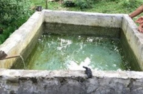 Hai anh em đuối nước thương tâm trong bể nước gia đình