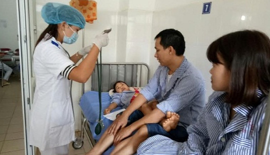 Sơn La: 13 bệnh nhân ngộ độc nấm đã ổn định sức khỏe