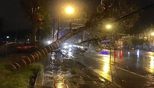 Bão số 2 gây mưa lớn và gió mạnh cho các tỉnh bắc Trung Bộ