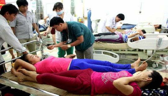 Nghệ An: 10 người nhập viện vì ăn nhầm nấm độc