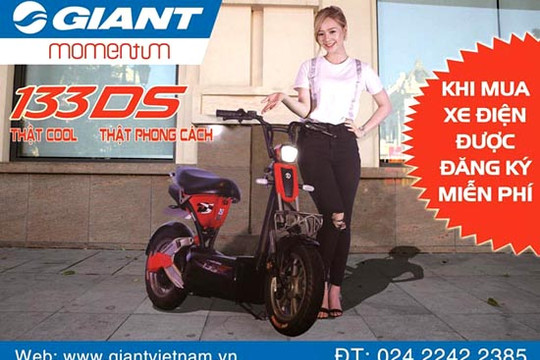 Điều gì khiến xe điện 133 DS của Việt Nam tạo nên cơn sốt trên thị trường?