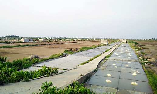Đắng chát đời diêm dân