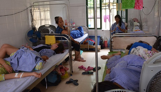 Nam Định: Sốt xuất huyết tăng nhanh, bệnh viện quá tải