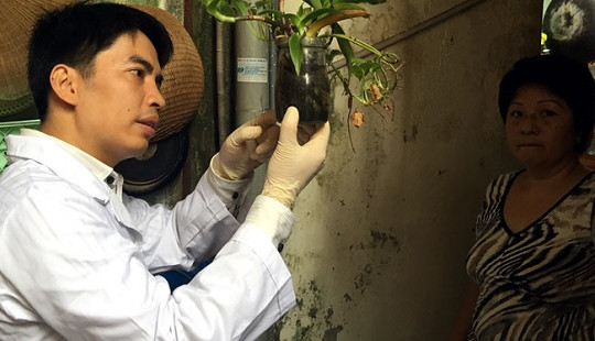 Diệt bọ gậy đúng cách để tránh phát sinh các ổ sốt xuất huyết mới