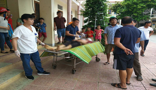 Trâu húc hai người thương vong lúc tiêm thuốc