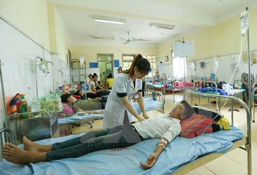 Đang trong giờ học, 11 học sinh bị đàn ong đốt phải nhập viện