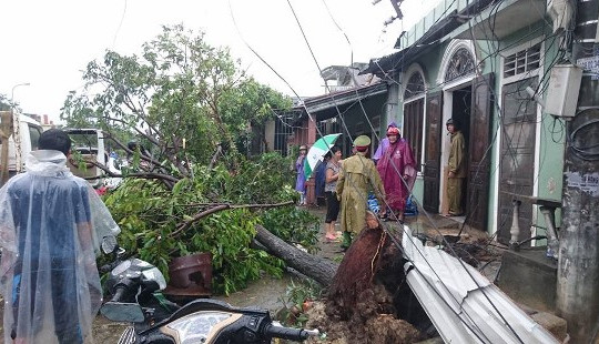 TT-Huế: Hàng trăm ngôi nhà tốc mái, cây cối đổ hàng loạt sau lốc xoáy