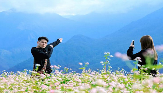 Tháng Mười lên Fansipan ngắm đồi Tam giác mạch mùa lễ hội