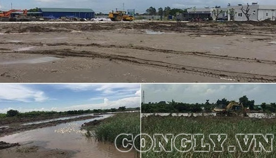 Quận Dương Kinh - Hải Phòng: Chuyển nhượng toàn bộ đầm nuôi cá vẫn kê khai nhận tiền bồi thường