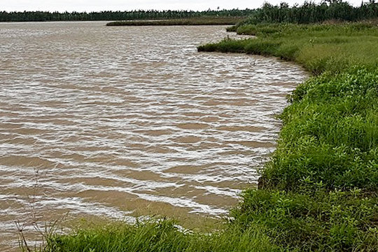 Huyện Vĩnh Bảo-Hải Phòng: Nghi vấn cán bộ tổ chức bán ruộng ngoài bãi sông