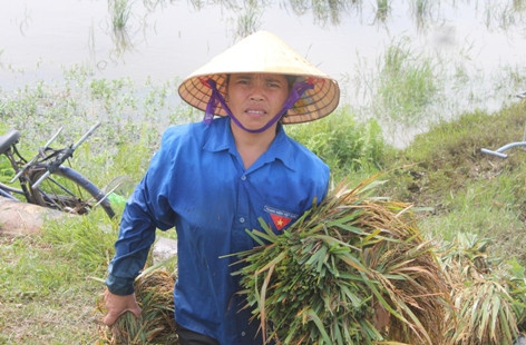 Thanh Hóa: Nước lũ rút, khẩn trương xử lý dịch bệnh, môi trường