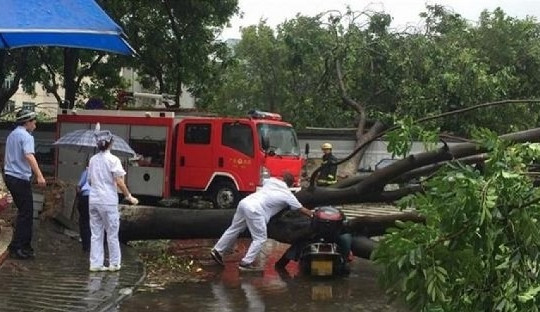 Xuất hiện vùng xoáy có thể mạnh thành bão đổ bộ vào TP.HCM