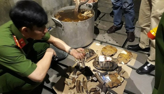 Nổ súng bắt cơ sở đang nấu cao hổ, nhân viên chạy tán loạn