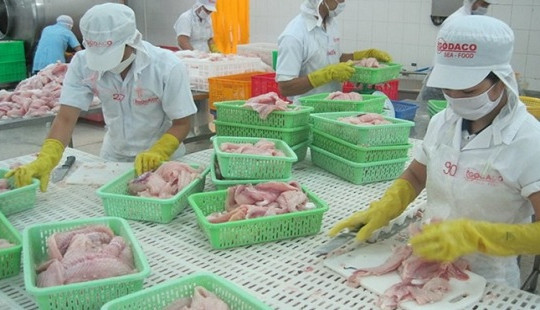 Cắt giảm 80% thủ tục hành chính trong lĩnh vực an toàn thực phẩm