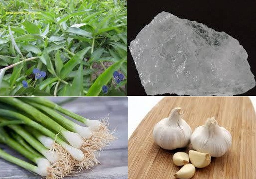 Cảnh báo hệ lụy khôn lường từ sự ngộ nhận “thần dược” tự nhiên chữa khỏi ung thư vú