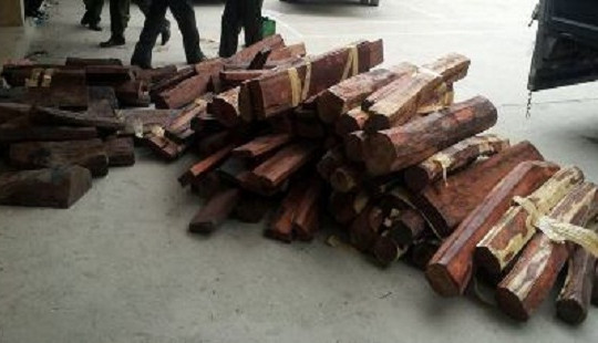 Khởi tố vụ buôn lậu gần 40m3 gỗ hương quý hiếm