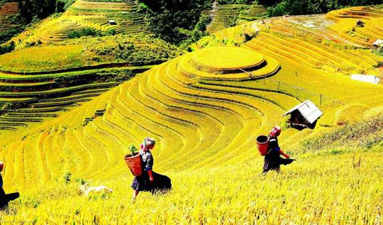 Công nhận Sapa là Khu du lịch Quốc gia