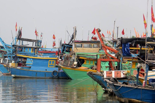 TP.HCM: Cấm tàu thuyền ra khơi vì lo ngại bão Tembin
