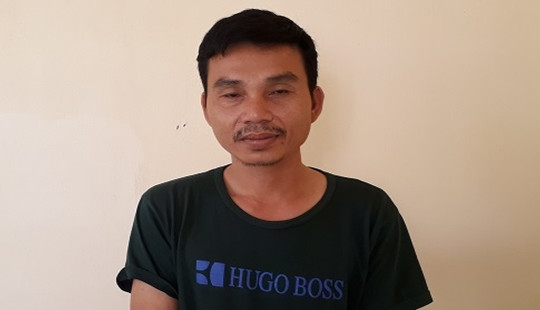 Khởi tố đối tượng chặt phá gỗ rừng