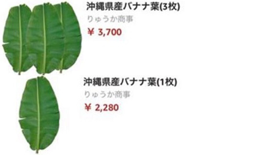 Lạ: Lá chuối ở Nhật giá... 500.000 đồng
