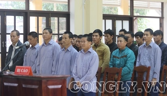 Xét xử Đồn phó Biên phòng cửa khẩu Nam Giang và các bị cáo vụ phá rừng pơ mu