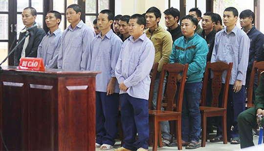 Vụ phá rừng pơmu: Trả hồ sơ điều tra bổ sung
