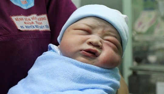 Những em bé chào đời ngày đầu xuân Mậu Tuất