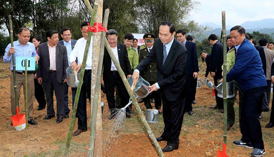 Trồng cây, gây rừng ngày càng có ý nghĩa quan trọng chiến lược