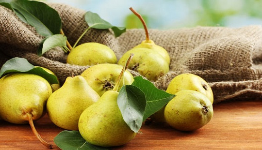 Công dụng của quả lê bạn nên biết