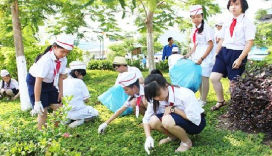 Thừa Thiên Huế: Phấn đấu tối thiểu 50% hệ thống cây xanh phủ bóng mát ở các trường học