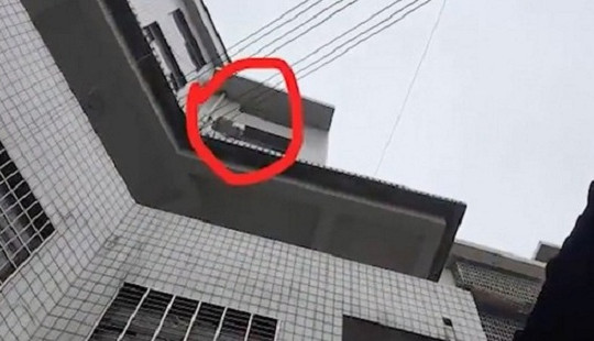 Người mẹ nhẫn tâm ném con qua cửa sổ sau khi cãi nhau với chồng cũ