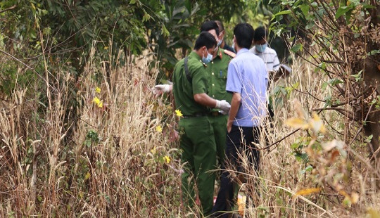 Phát hiện thi thể người đàn ông đang phân hủy trong vườn điều