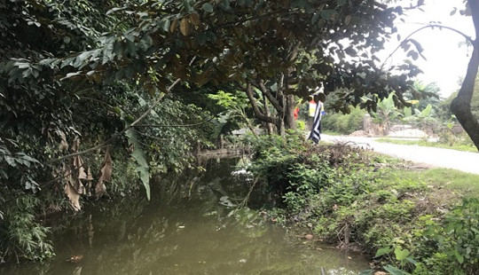Hải Phòng: Hai học sinh chết đuối dưới mương nước