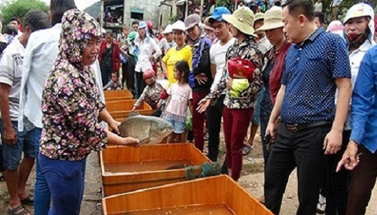 Quảng Bình: Đặc sắc lễ hội thi cá trắm trên sông Son