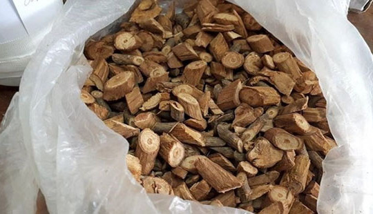 Vụ ngộ độc khiến 3 người tử vong khi uống rượu: Do kịch độc từ cây lá ngón