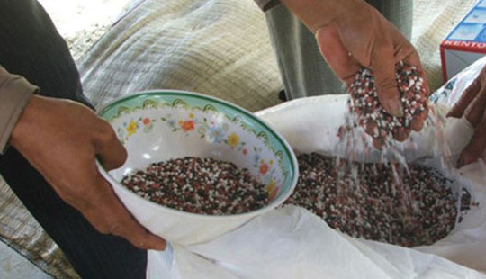 Tăng cường phòng chống sản xuất kinh doanh phân bón giả