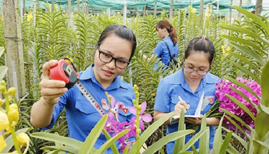 Hàng trăm tỉ đồng chờ đầu tư cho thanh niên khởi nghiệp