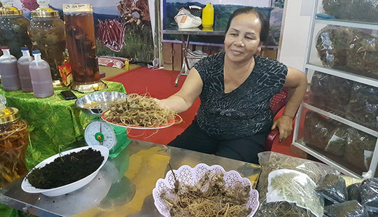 Chỉ 3 ngày, phiên chợ sâm Ngọc Linh thu về gần 5 tỷ đồng