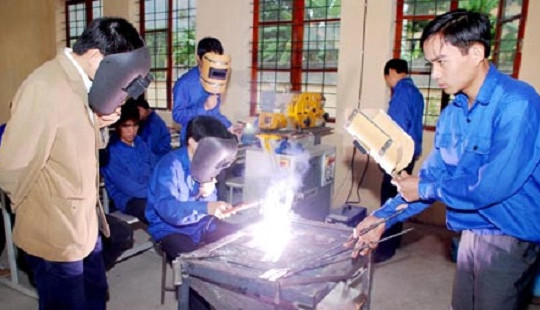 Mức lương khởi điểm của nhiều sinh viên cao đẳng đạt 5,2 triệu đồng