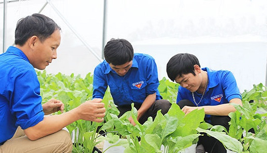 Doanh nghiệp sẽ thu mua nông sản cho thanh niên khởi nghiệp qua hình thức trực tuyến