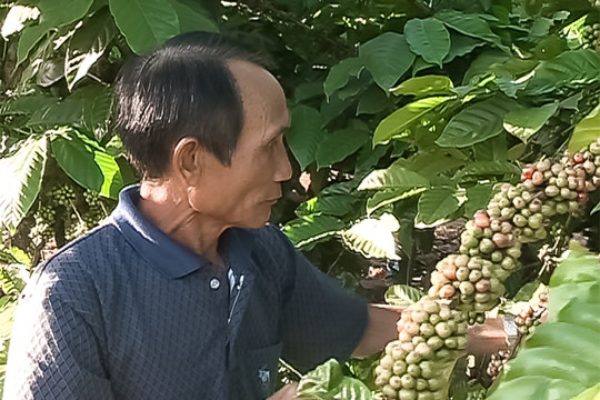 Biên cương vẹn tròn một dải