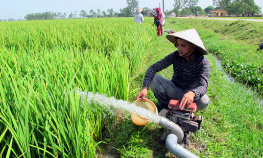 Thanh Hóa: HTX dịch vụ nông nghiệp Đông Hoàng thu tiền thủy lợi phí sai quy định