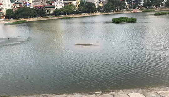 Thi thể người đàn ông nổi trên hồ Ngọc Khánh